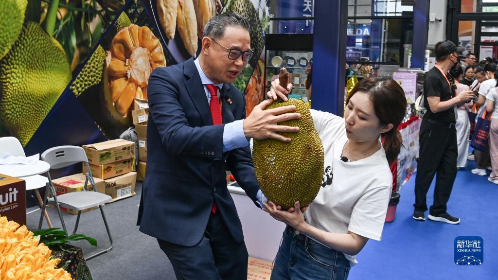 十博手机版下载